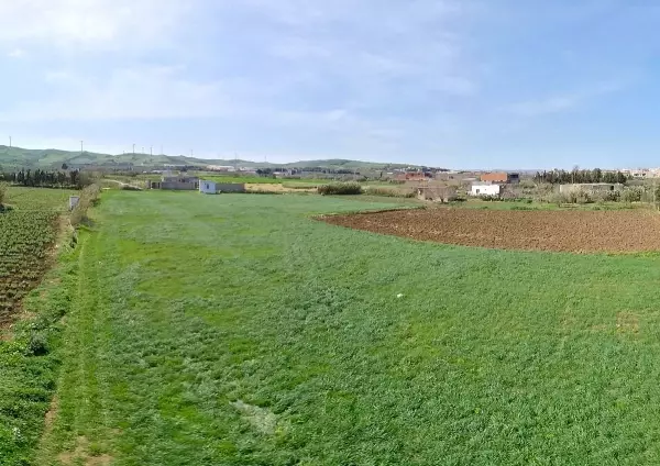 Terrain à Ras jbel