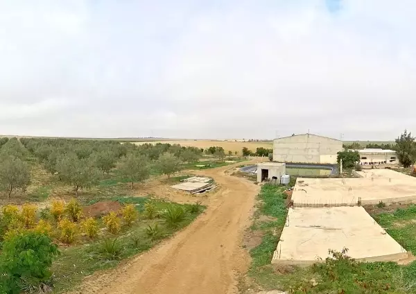 Henchir à Knaies